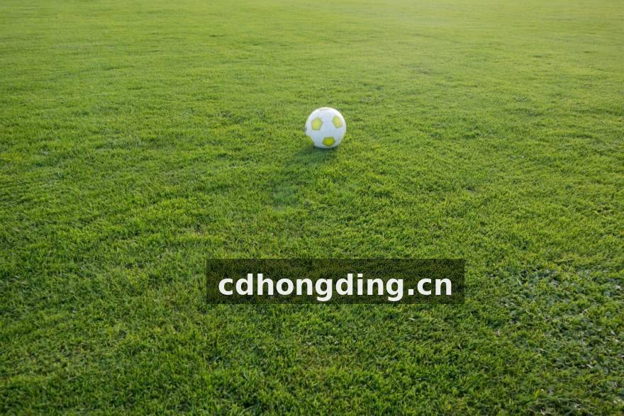 PG贵宾厅发布游戏库季度报告，品类覆盖再扩
